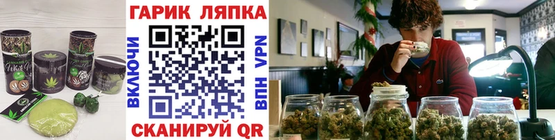 mega как зайти  цена наркотик  Георгиевск  Еда ТГК марихуана 