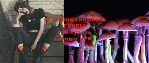 ГАЛЛЮЦИНОГЕННЫЕ ГРИБЫ Сафоново