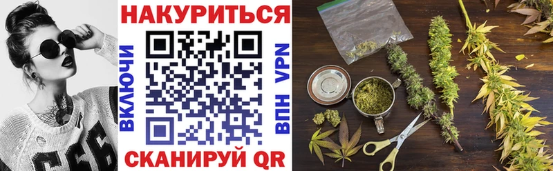 Конопля семена  где можно купить наркотик  Георгиевск 
